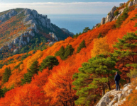 Остановись, шальная осень