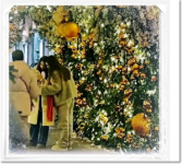 Веселая прогулка