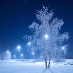 В темноте зимы