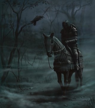 Одинокий рыцарь