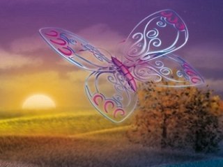 Небесные  бабочка и мотылёк