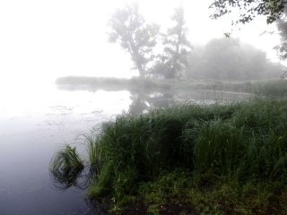 Над озером туман повис