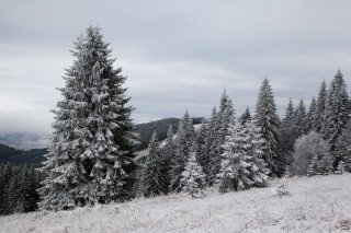 Снежные Карпаты Снежные Карпаты
