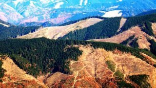 Лысые Карпаты