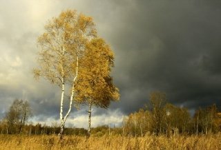 Заметёт её снегами