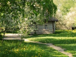 Заросла травою стёжка