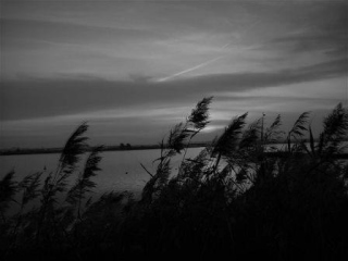 Берега Берега