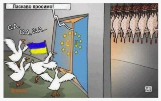 Нужна ли жалость Нужна ли жалость